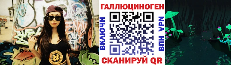 Купить  Тверь  Галлюциногенные грибы Psilocybine cubensis 